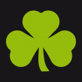 Shamrock T-Shirt. Selbst gestalte ein Kleebltter T-Shirt. St Patricks Day Design.