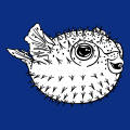 Fugu-Fisch zum Bedrucken von T-Shirts. Gestalte ein globales Fisch-T-Shirt mit Meer und Ozean-Design.