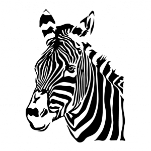 Tiere T-Shirt zu gestalten. Zebra Designs fr T-Shirt Druck.